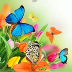 butterfly live wallpaper android application logo